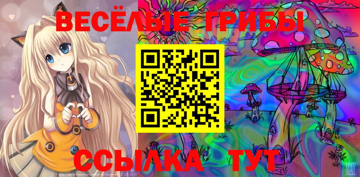 где купить наркотик  Вход с VPN  Мирный  Галлюциногенные грибы ЛСД  Галлюциногенные грибы Psilocybine cubensis 